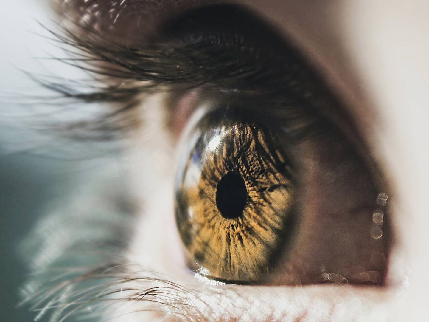 Golden Eyes: How Gold Nanoparticles Could Restore Vision